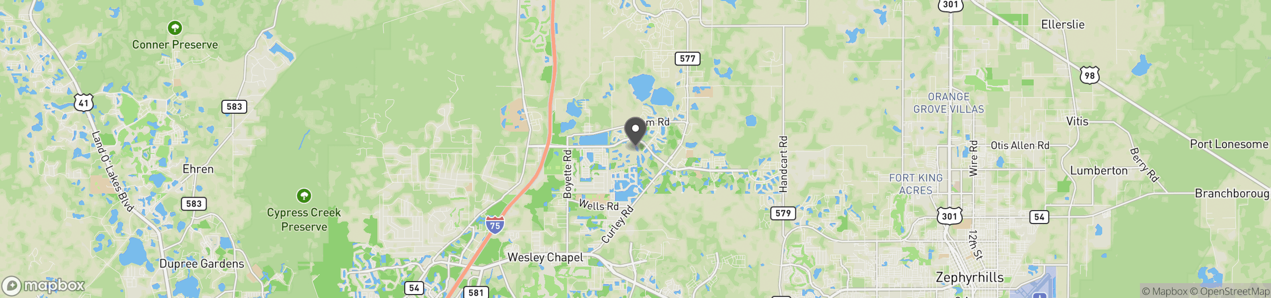 Wesley Chapel, FL 33545