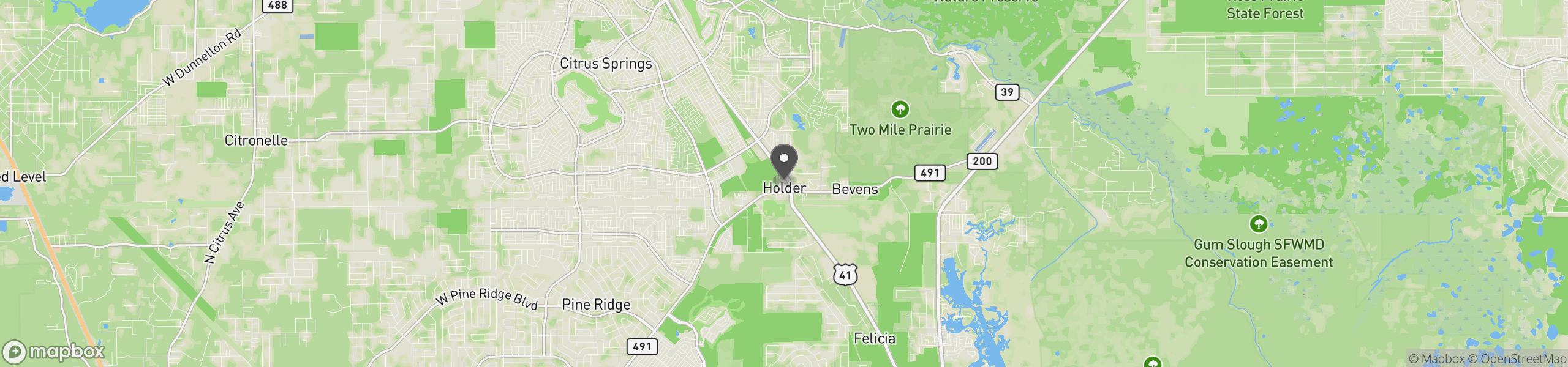 Holder, FL 34445