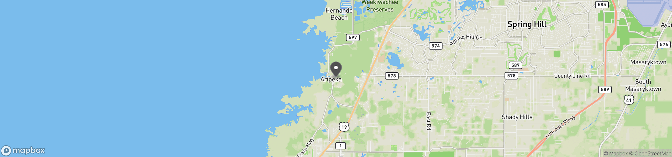 Aripeka, FL 34679