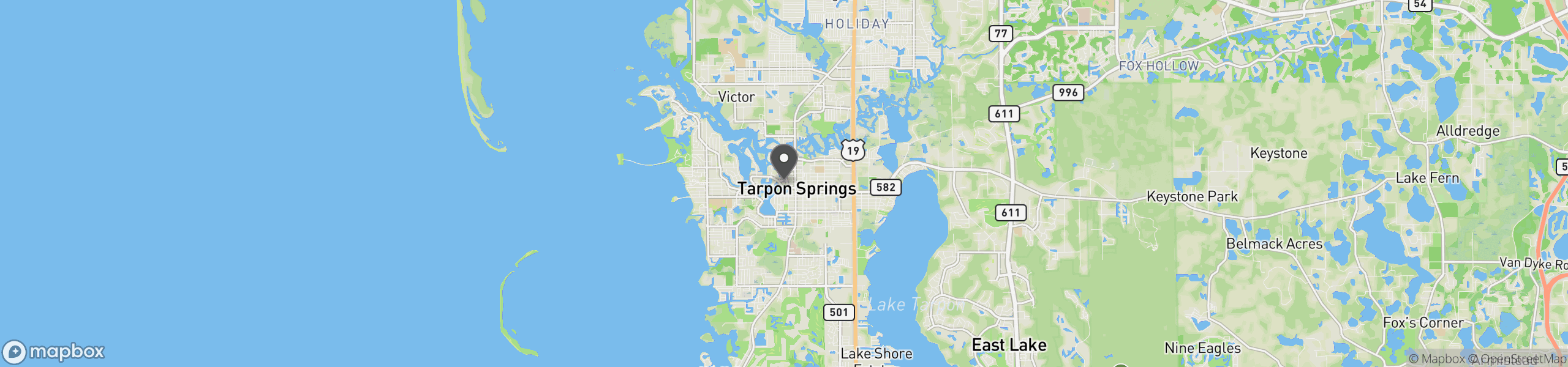 Tarpon Springs, FL 34689