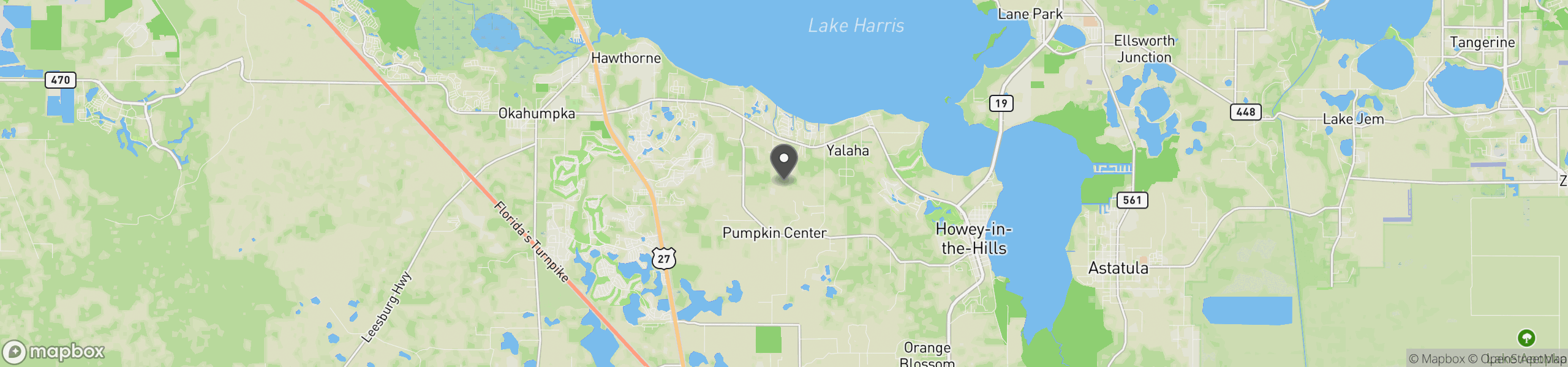 Yalaha, FL 34797