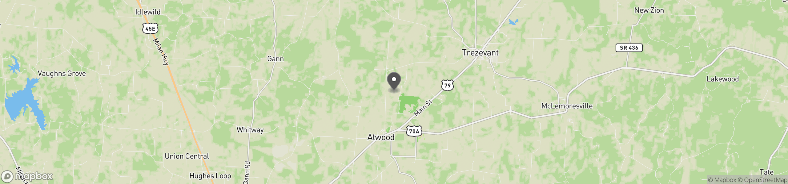 Atwood, TN 38220