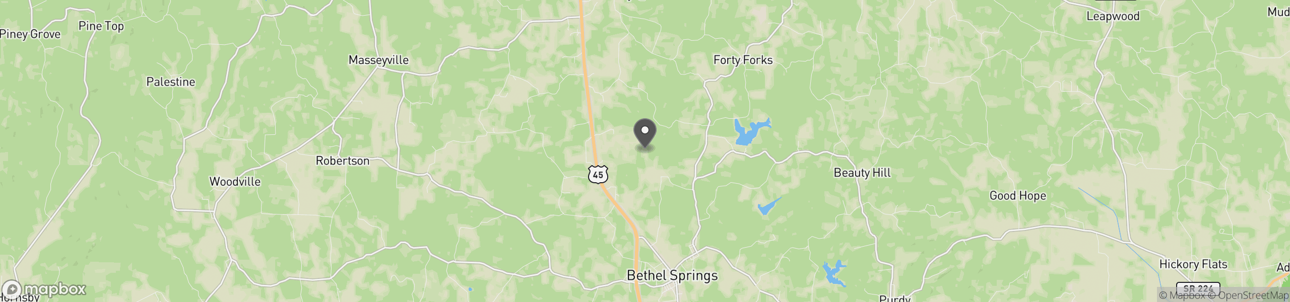Bethel Springs, TN