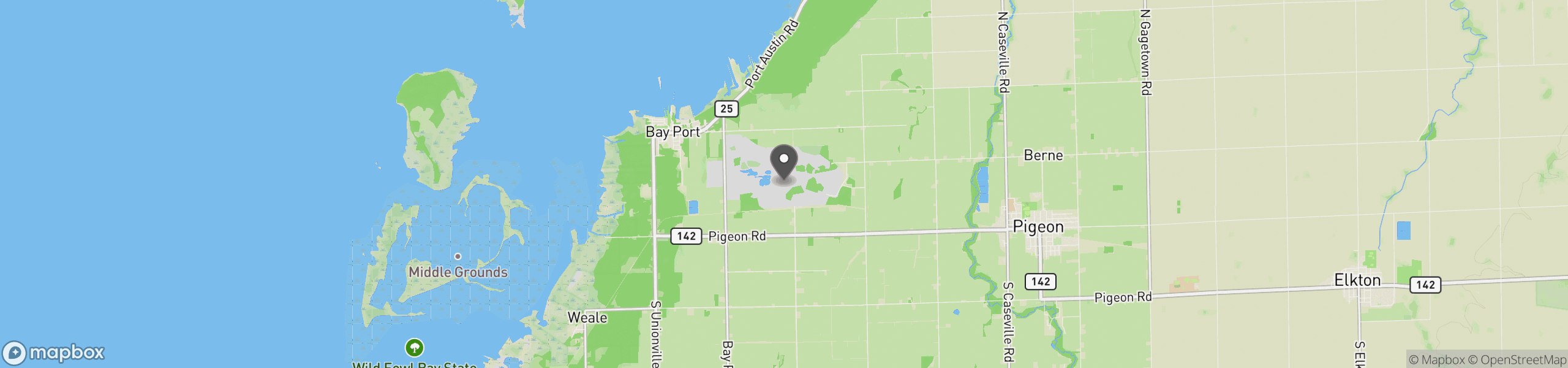 Bay Port, MI 48720