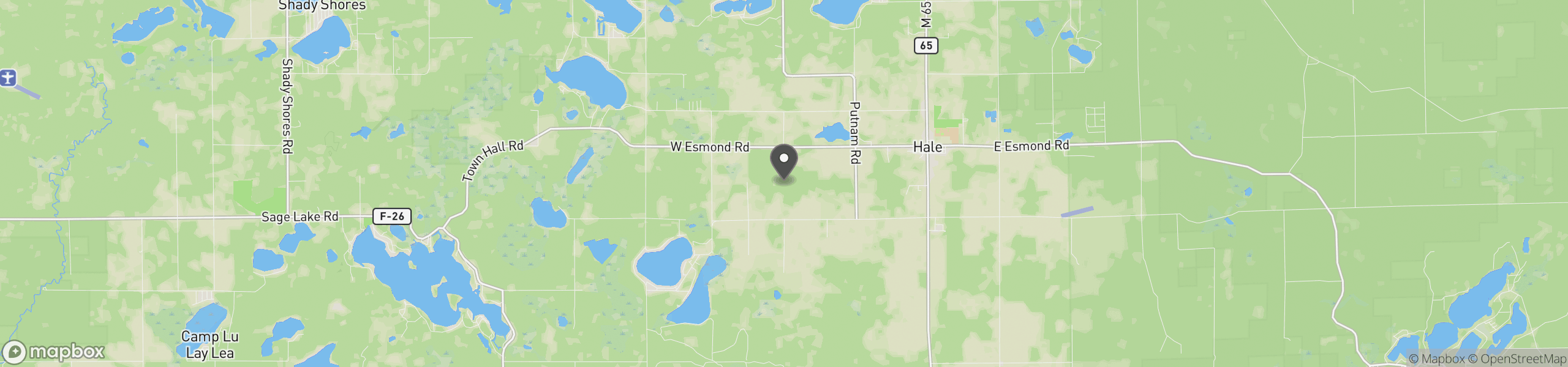 Hale, MI 48739