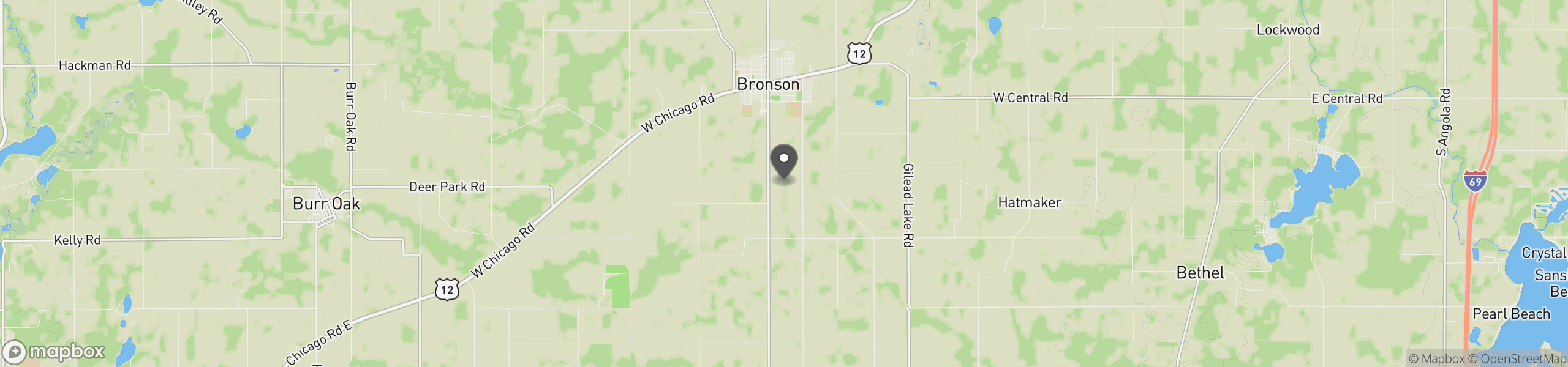 Bronson, MI 49028