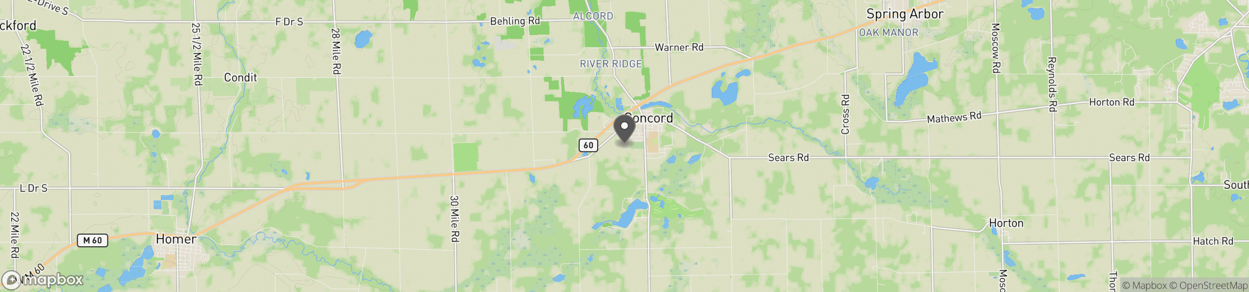 Concord, MI 49237