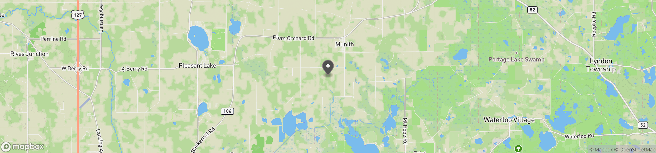 Munith, MI 49259