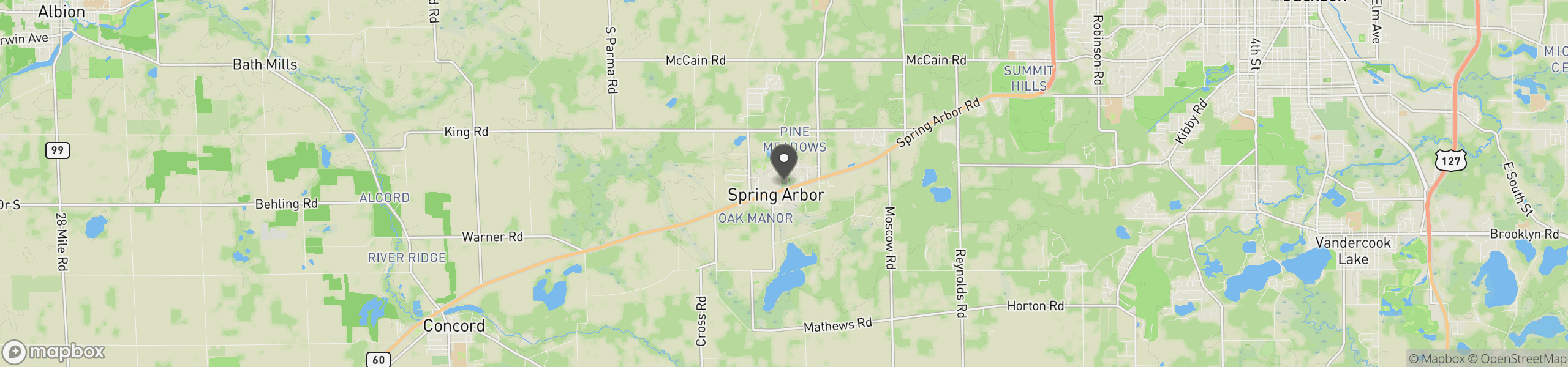 Spring Arbor, MI 49283