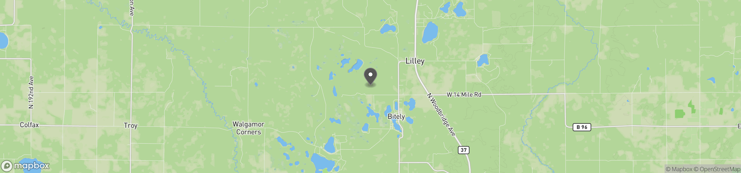 Bitely, MI 49309