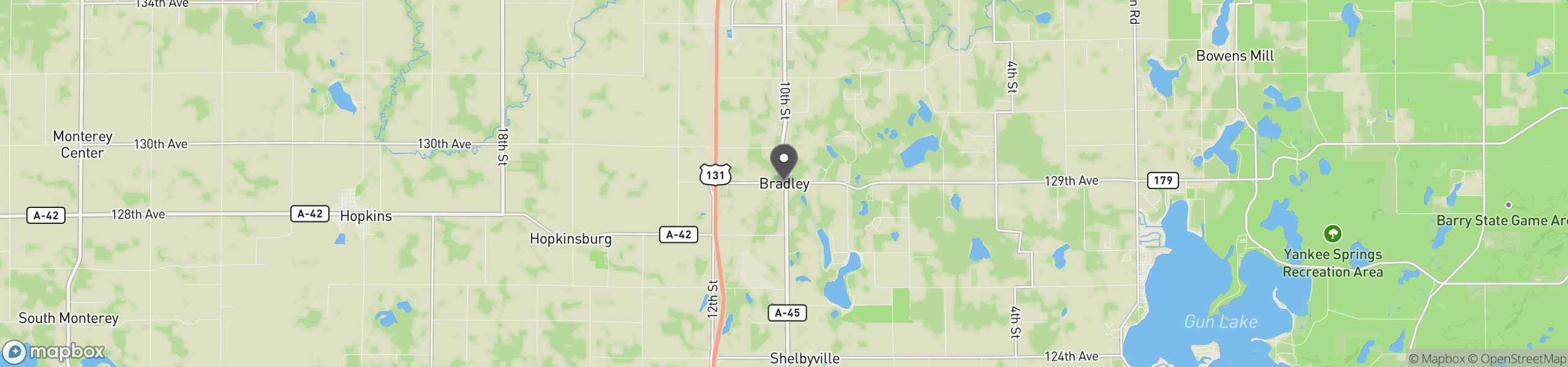 Bradley, MI 49311