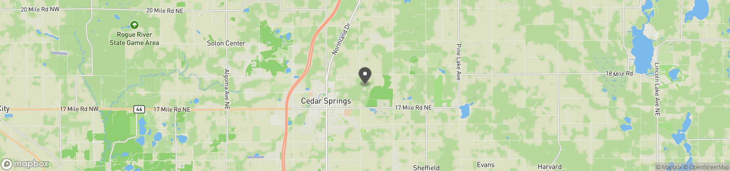 Cedar Springs, MI 49319