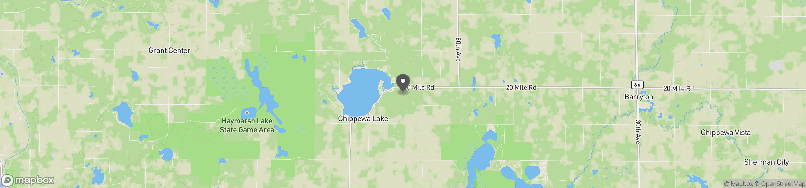 Chippewa Lake, MI 49320