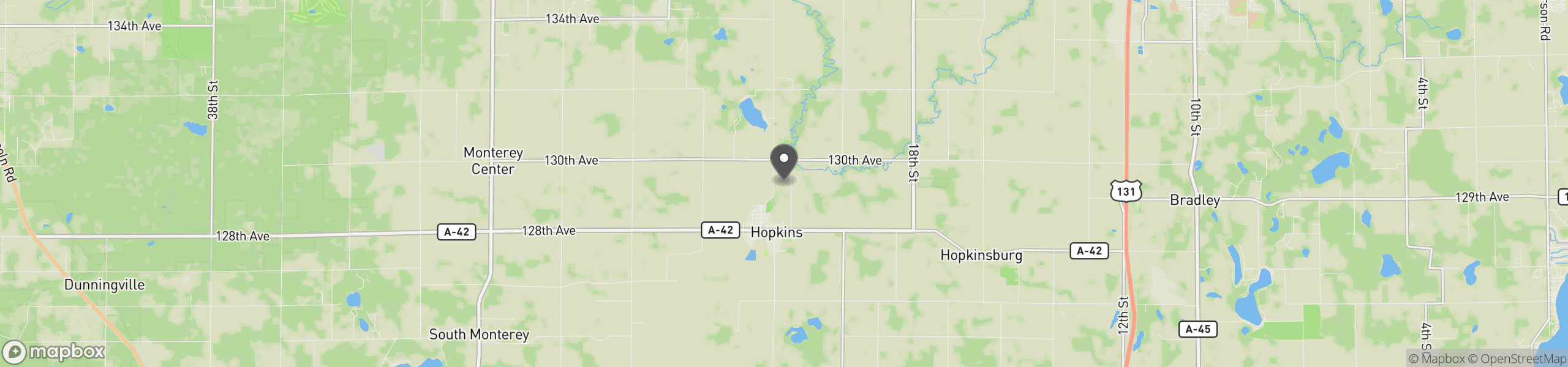 Hopkins, MI 49328