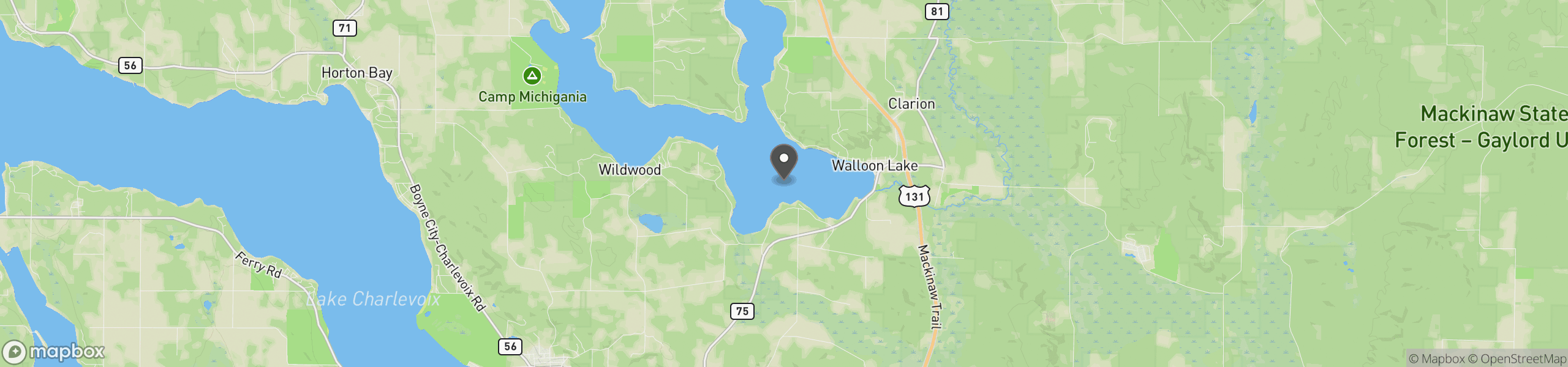 Walloon Lake, MI 49796