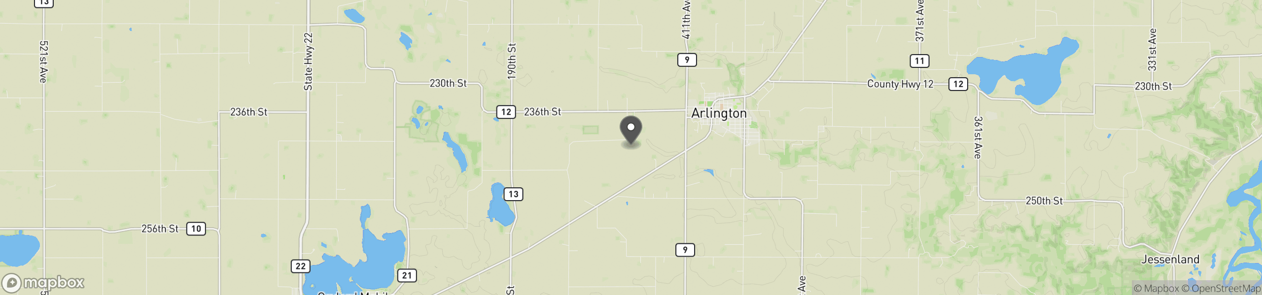 Arlington, MN 55307