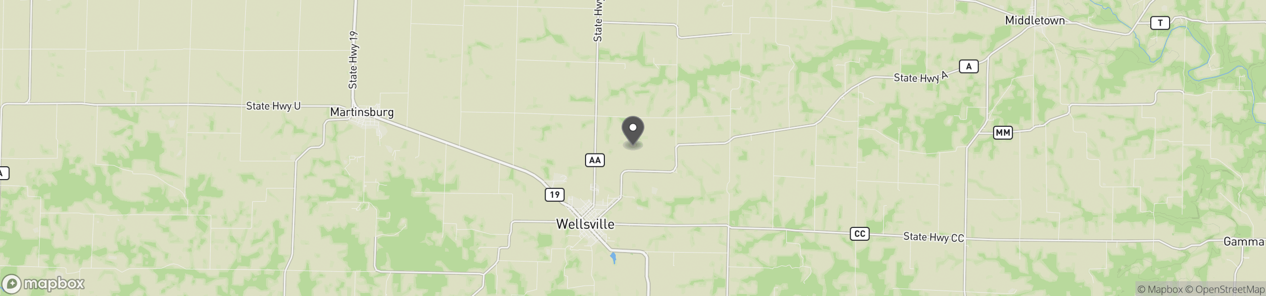 Wellsville, MO 63384