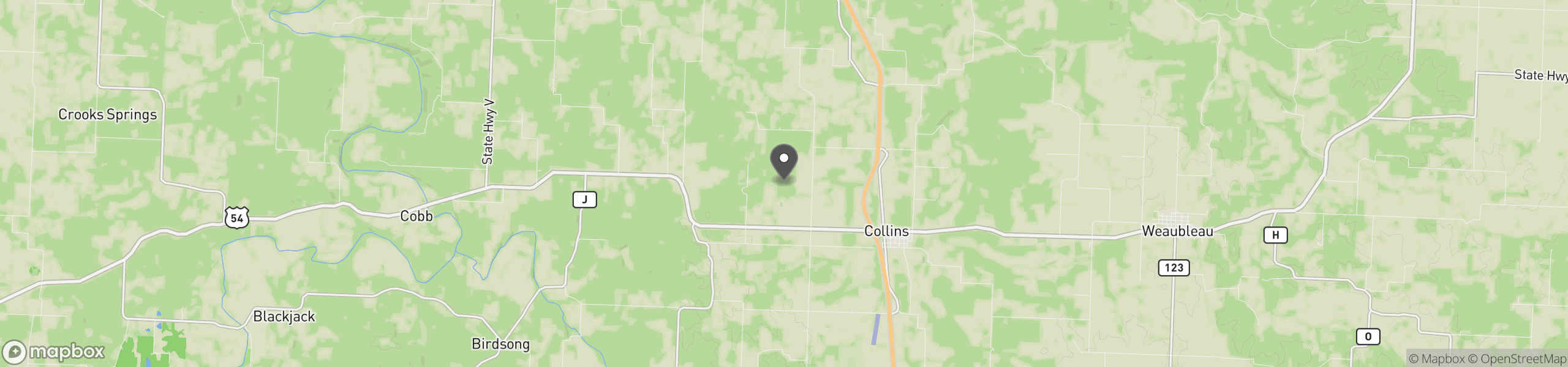 Collins, MO 64738