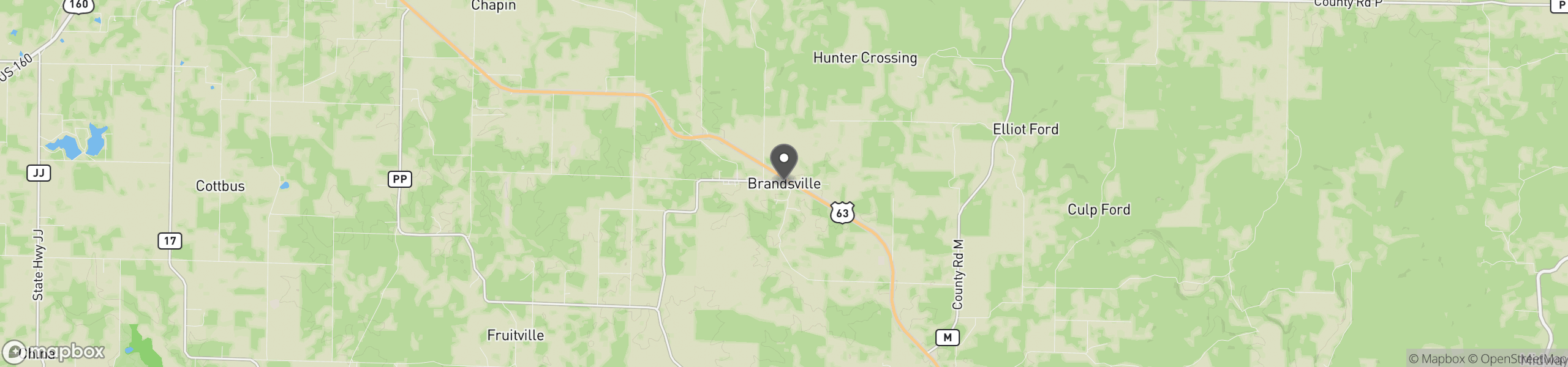 Brandsville, MO 65688