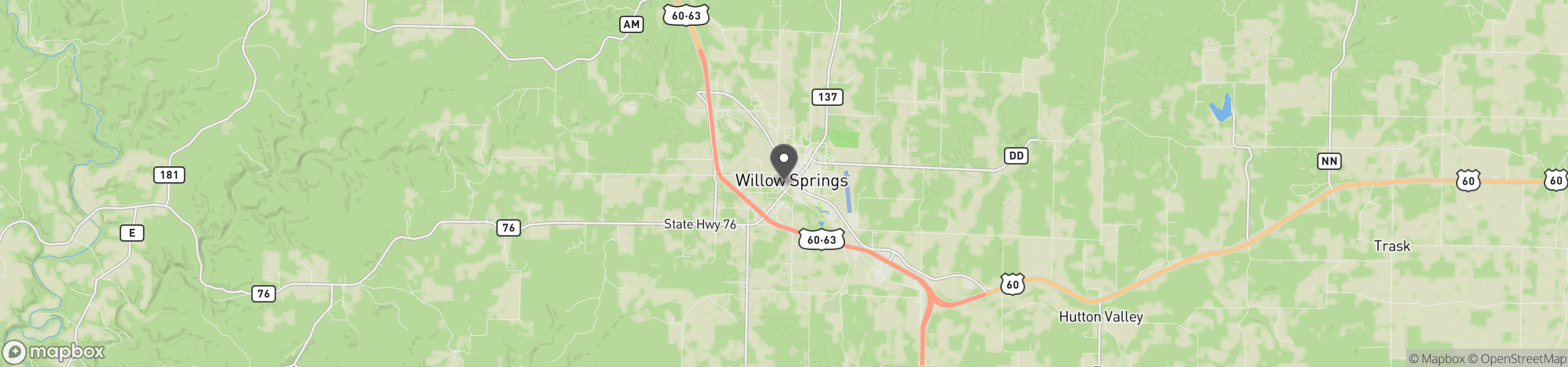 Willow Springs, MO 65793
