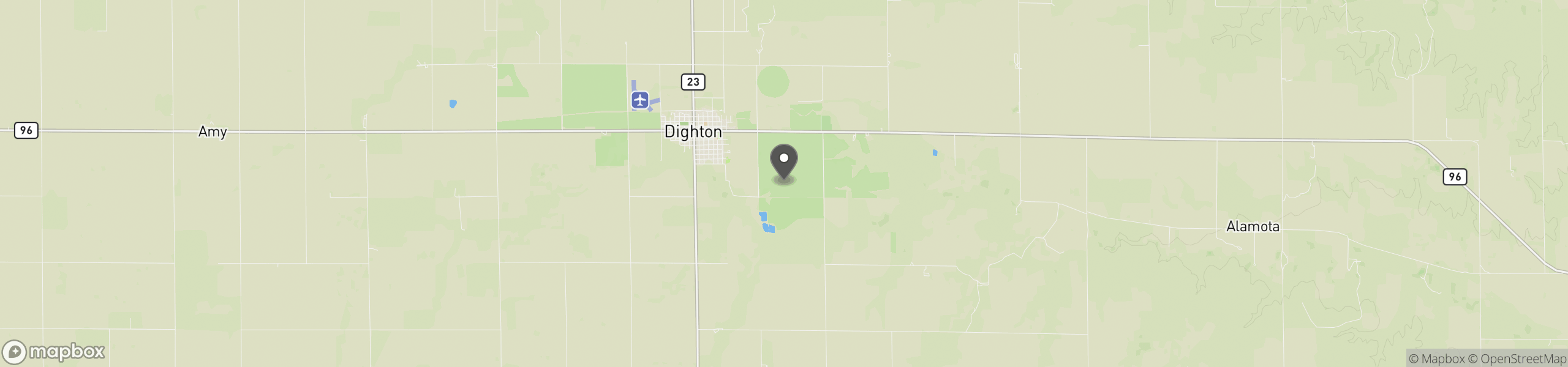 Dighton, KS 67839
