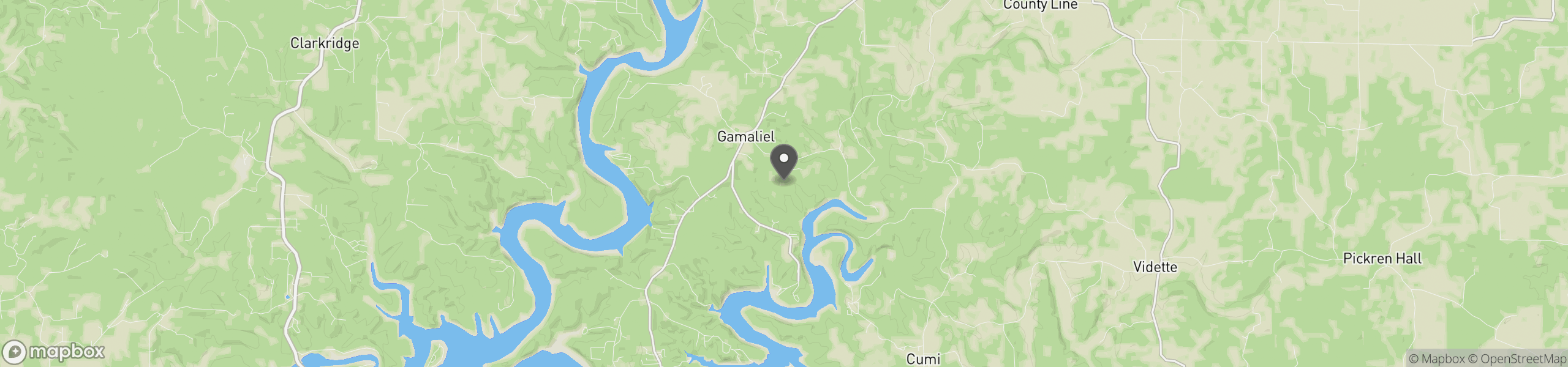 Gamaliel, AR 72537