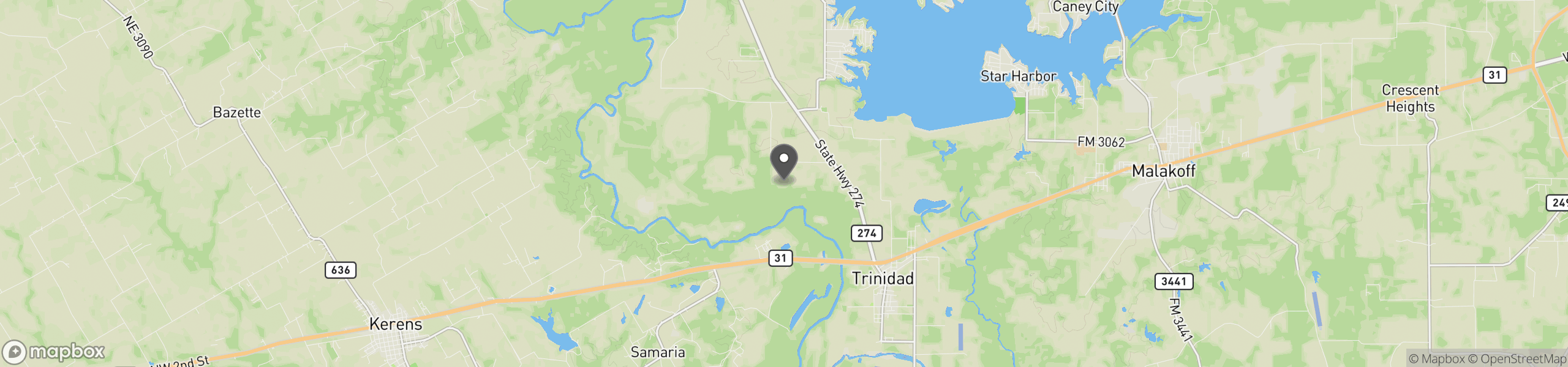 Trinidad, TX 75163