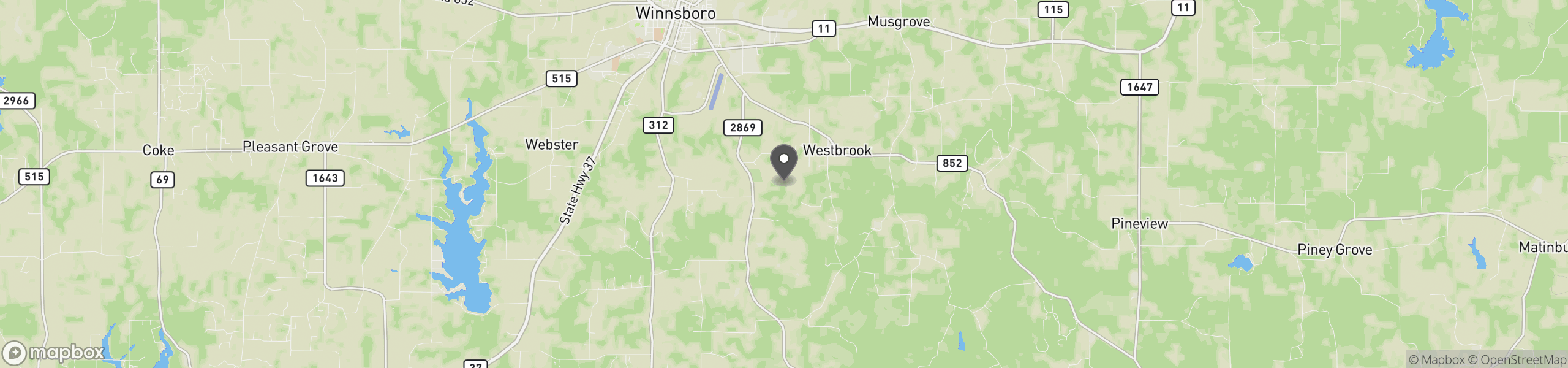 Winnsboro, TX 75494