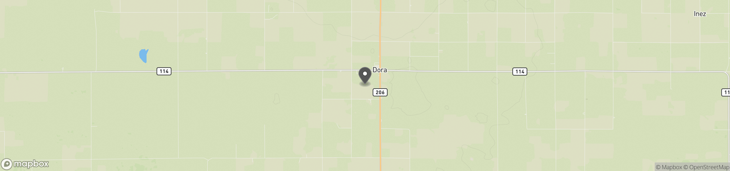 Dora, NM